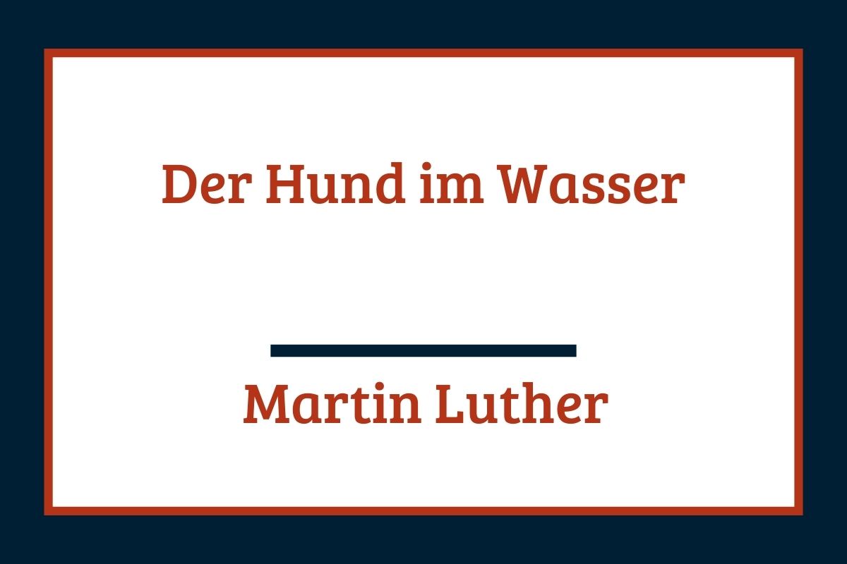 Der Hund im Wasser von Martin Luther Literaturwelt